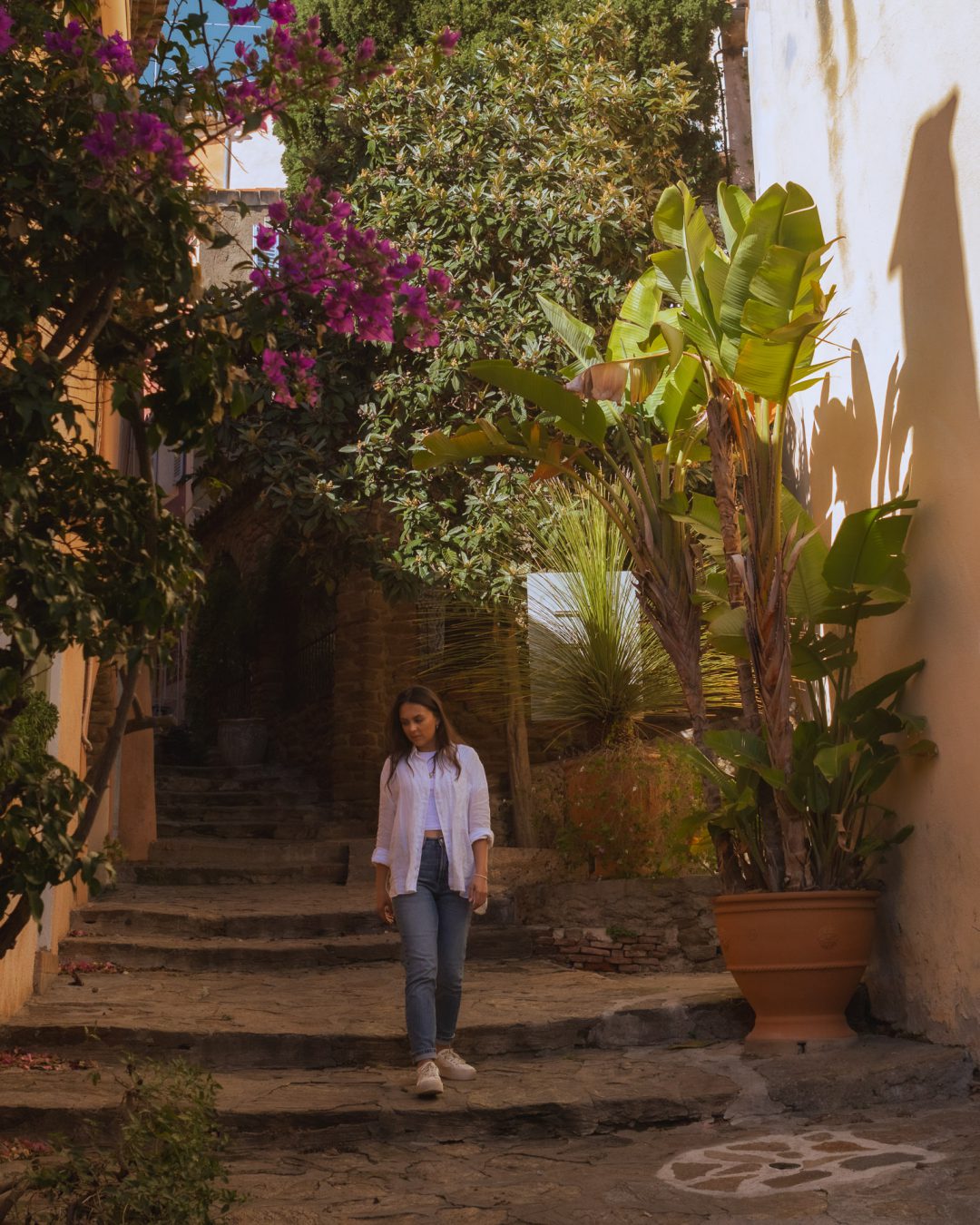 Old Town Bormes les Mimosas