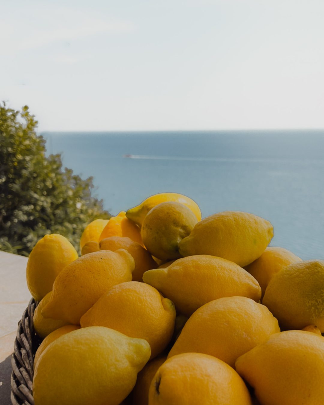 Travel Guide Cinque Terre