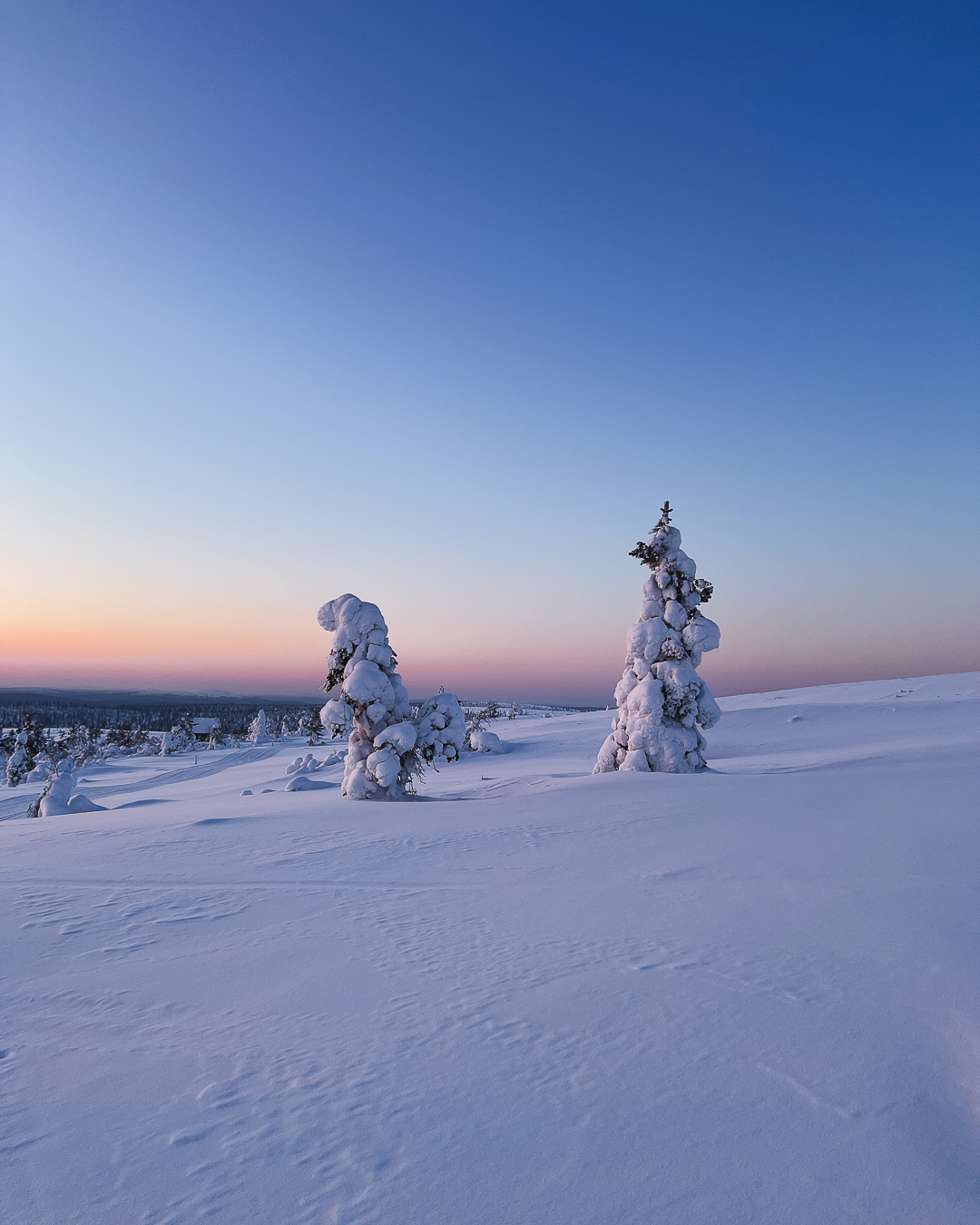 Travel Guide Lapland